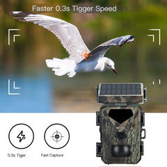 Outdoor Hunting Camera with Night Vision and Infrared